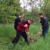 The Green Week Project 2016